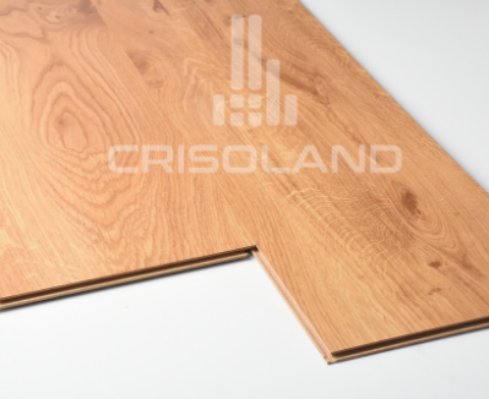 Crisoland Crisoland