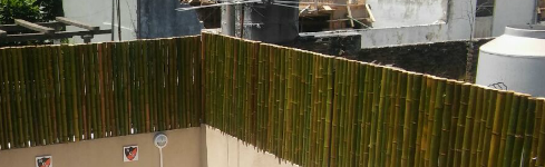 cerramientos-en-caa-de-bambu-para-medianeras-bambu-guazu-portada